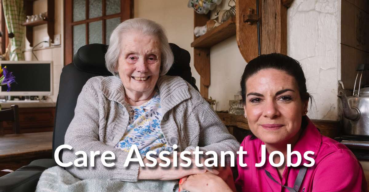 Alina Homecare Care Assistant jobs